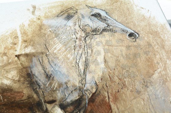 Equine Nude 169t