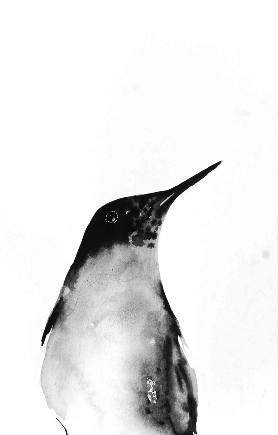 Birds in Watercolor. Set of 3.