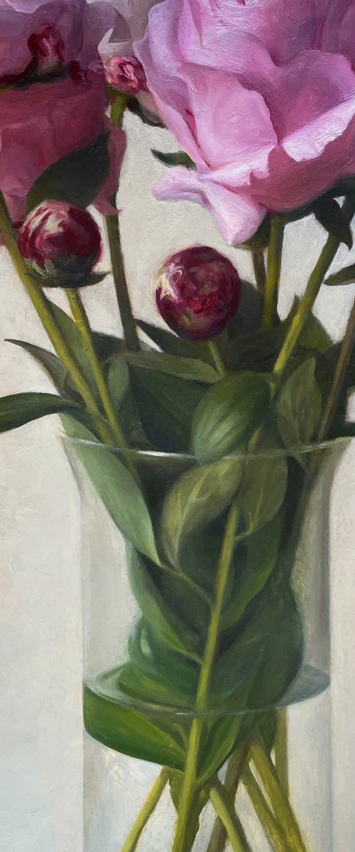 Peonies by Thom G Jordan