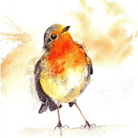 Robin watercolour painting