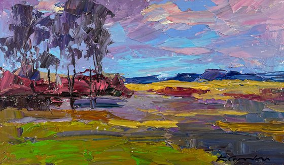 Spring Colorful Day in the Mountains