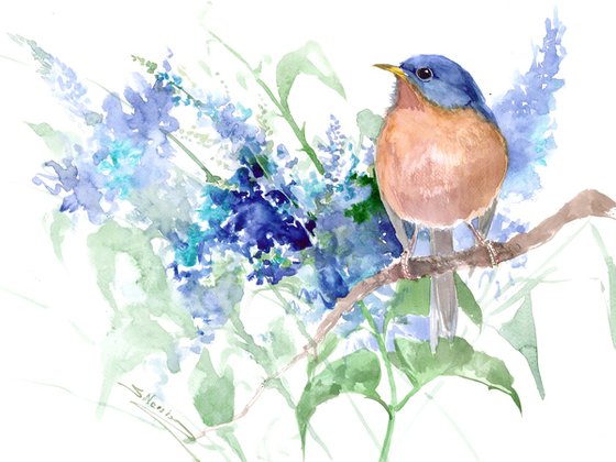 Bluebird and Blue Flowers