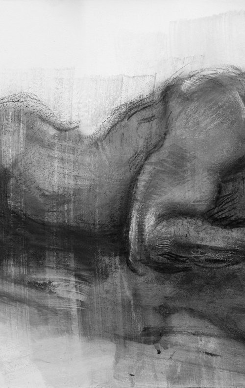 Charcoal drawing on paper "Narcissus " by Eugene Segal