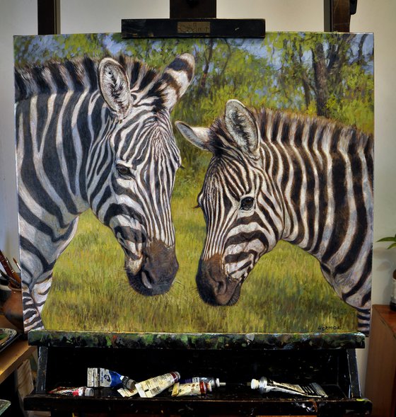 Zebras in the thick bush