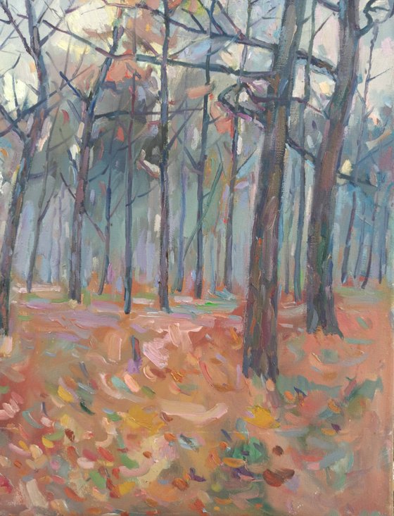 Forest landscape