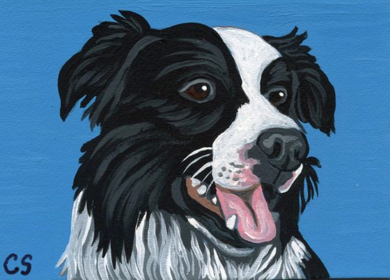 ACEO ATC Original Miniature Painting Black Border Collie Pet Dog Art-Carla Smale