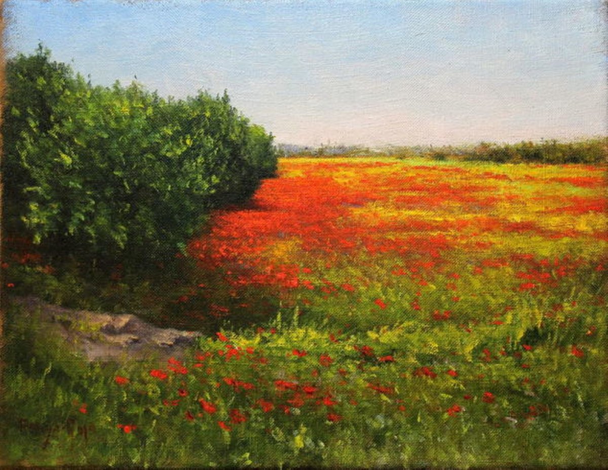 Campo de amapolas by Vicent Penya-Roja