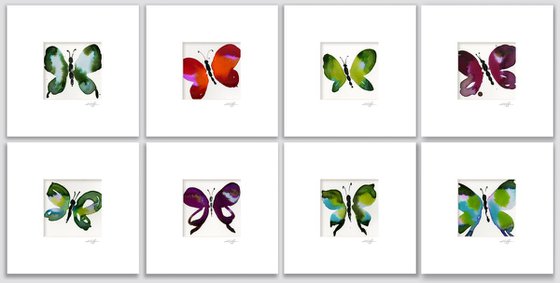 Butterfly Collection 3