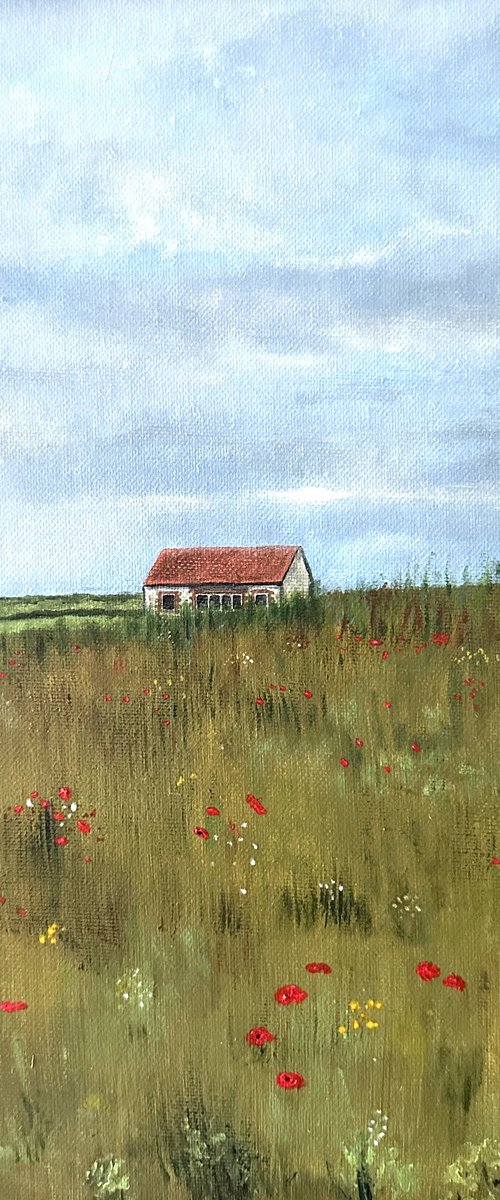 Sussex Poppies by Kaz  Jones