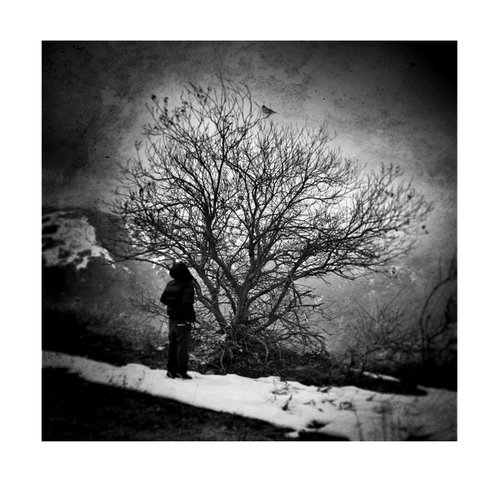 Winter Story by Carmelita Iezzi