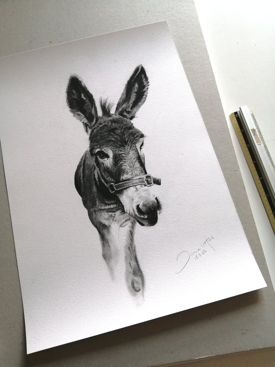 Donkey love