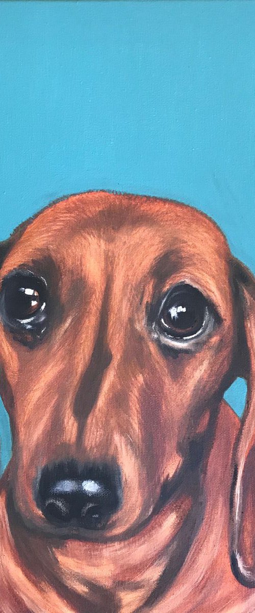 Little Sausage by Amanda Lakin Art