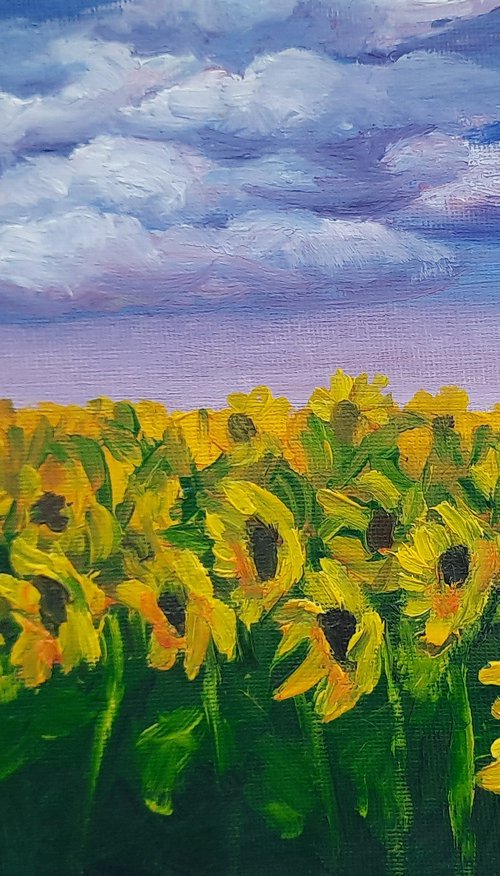 Sunflowers field by Julia Gogol