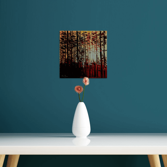 Sunset in the forest