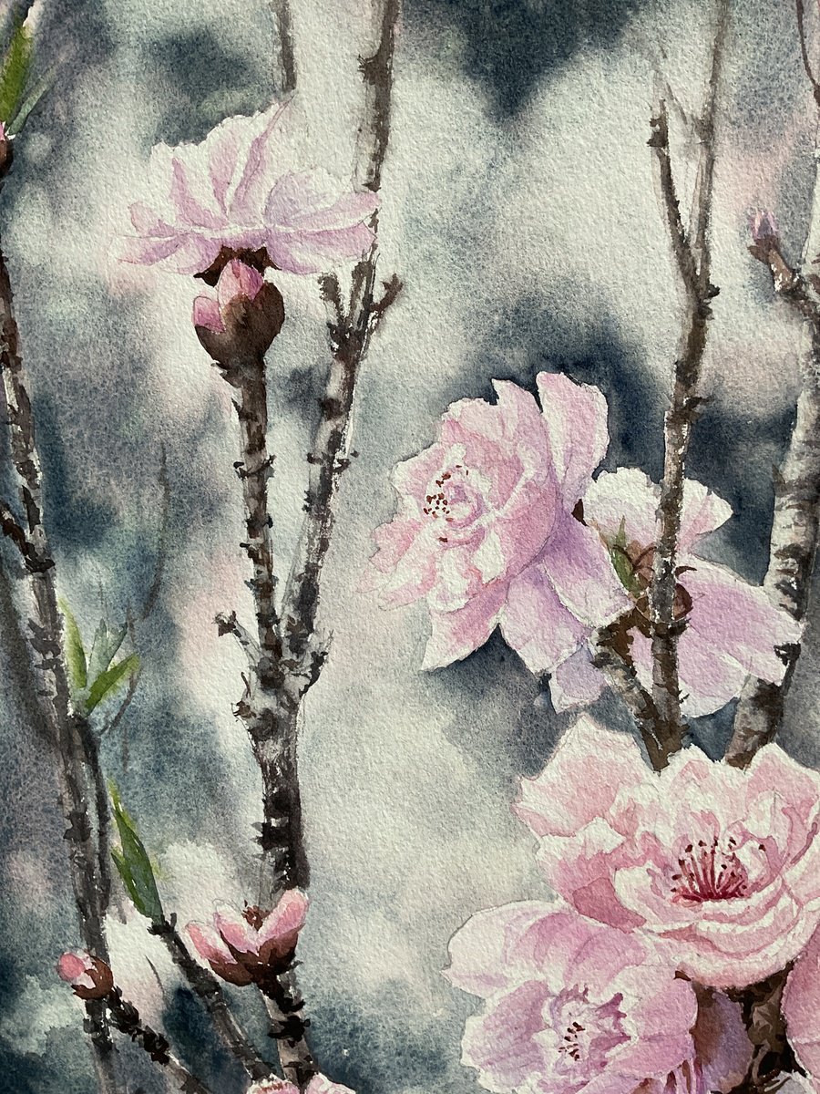 Illustrative Landscape Watercolour By Natalia Butenko, 11 X 15", Sacura Is Blossoming , Pink Flowers, Original Artwork
