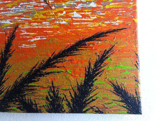 Red Sunset In The Grass