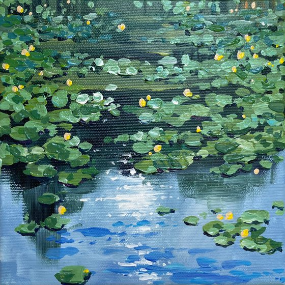 Water lilies. Small pond