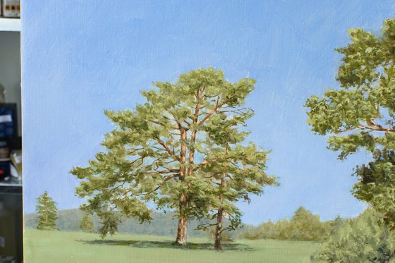 Old Pines