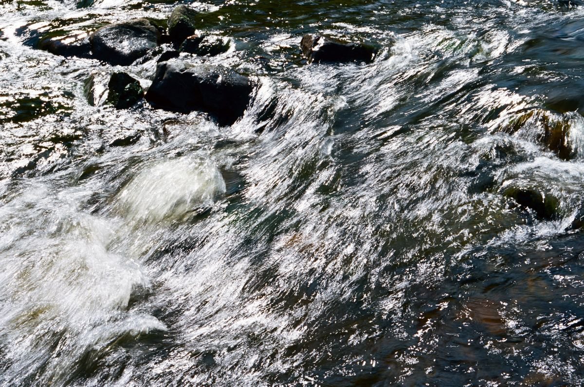 Organic Abstract Photograph By Justice Hyde, 36 X 24", Water 5 - Unmounted, Original Artwork