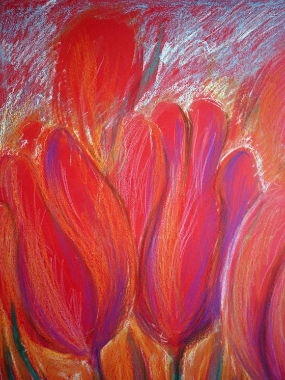 Tulips Red 3