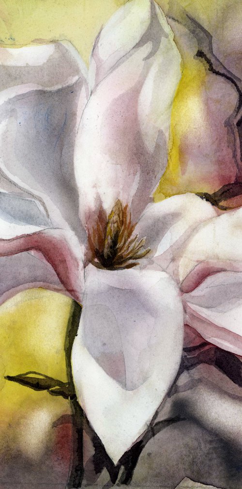 magnolia in pink watercolor floral by Alfred  Ng