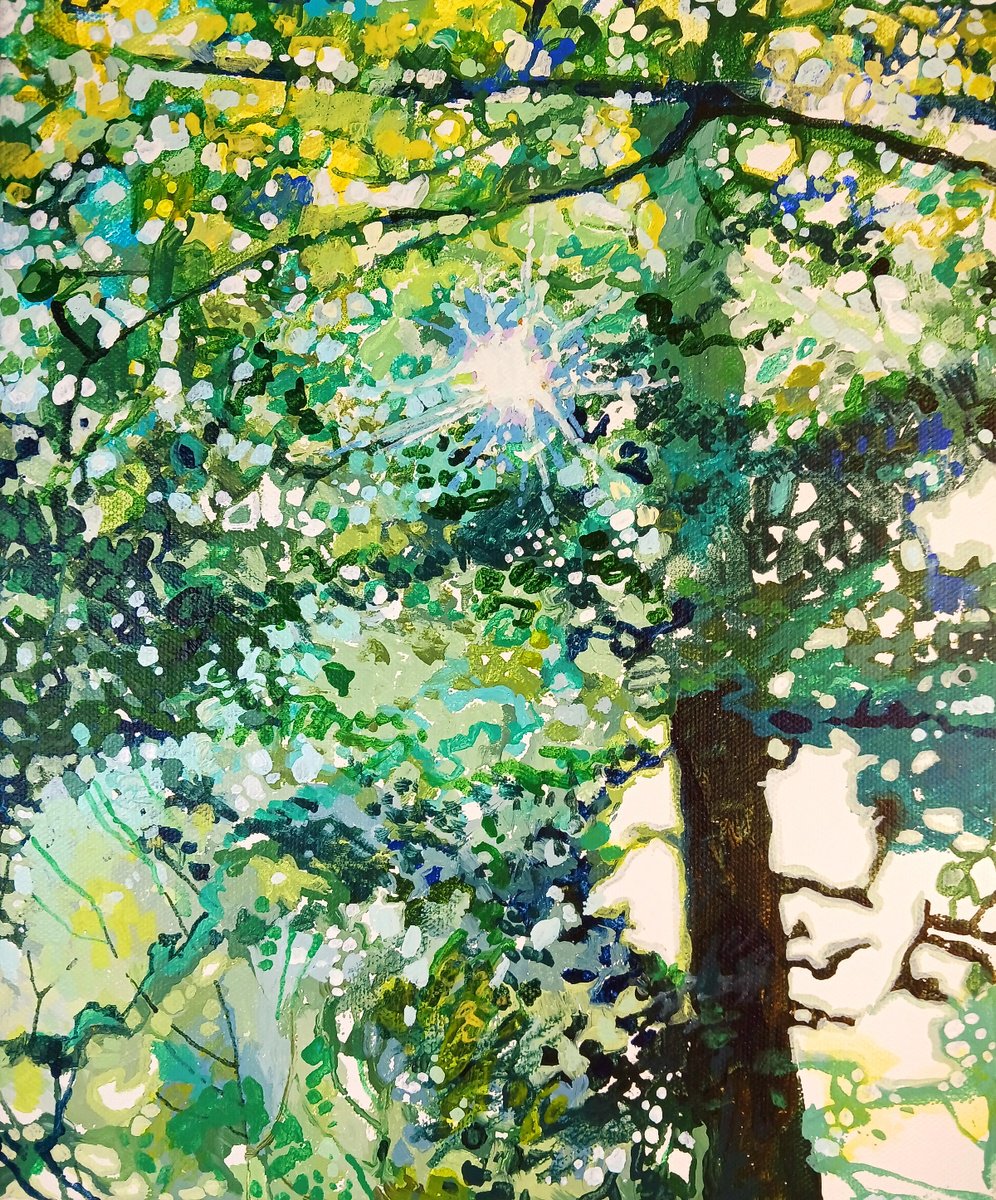Light Through the Trees by Imogen Skelley
