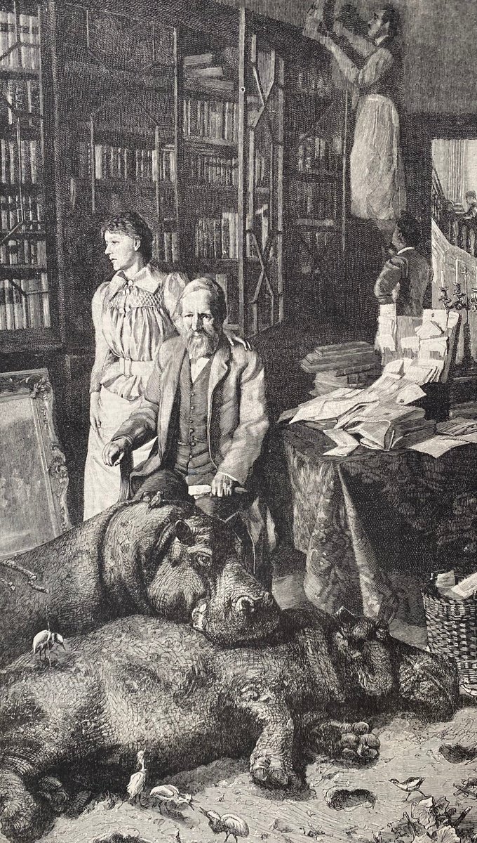 Surrealistic Portrait Collage By Tudor Evans, 6 X 11", John In His Library, Original Artwork