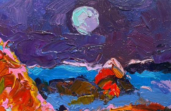 Moonlit Night in the Field