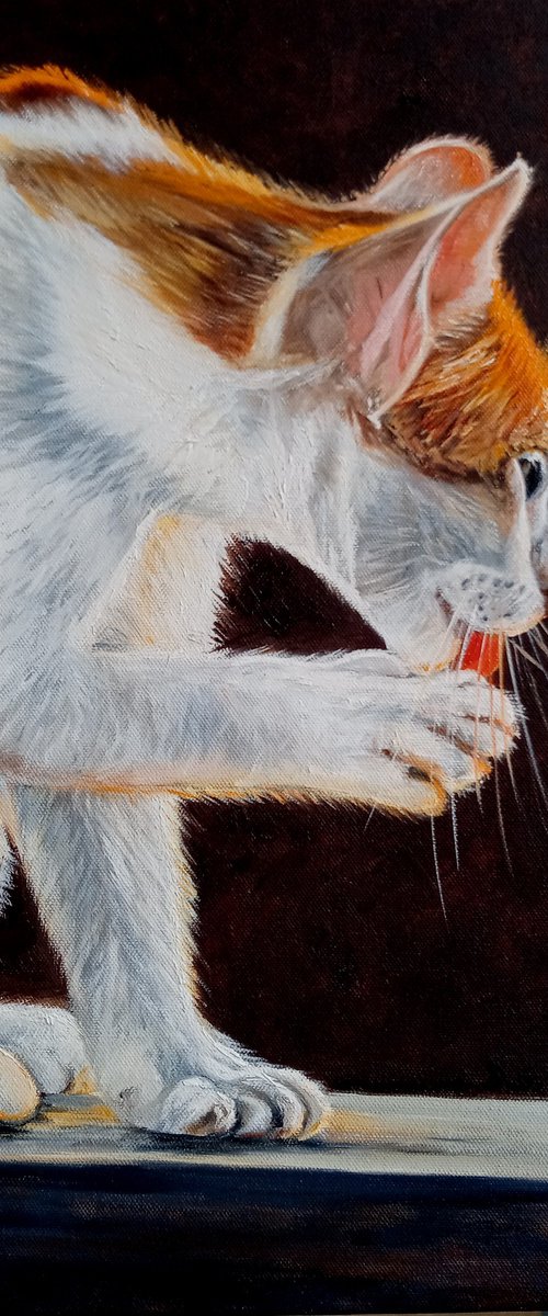 Tender Pause by Ira Whittaker