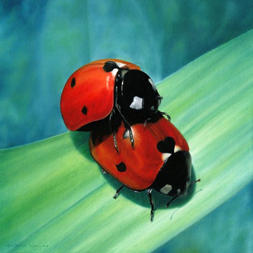 Ladybug Love by Marlene Llanes