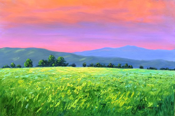 Evening Clouds Over Fields
