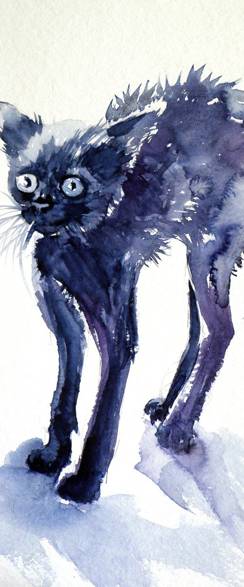 Cute kitten by Kovács Anna Brigitta
