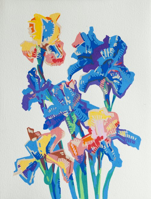 Colorful Irises by Eva de Novoparis