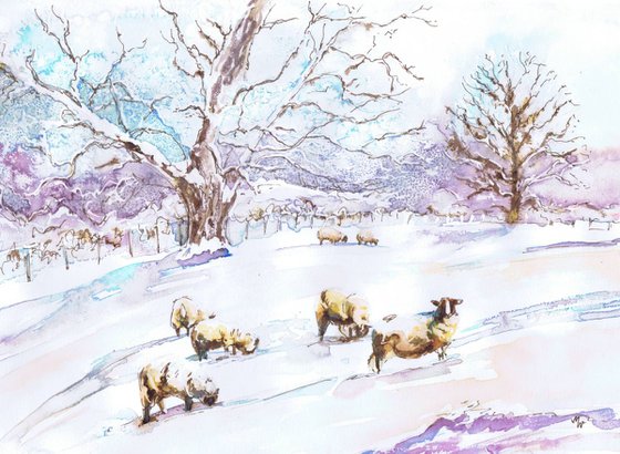 Sheep Grazing in Winter