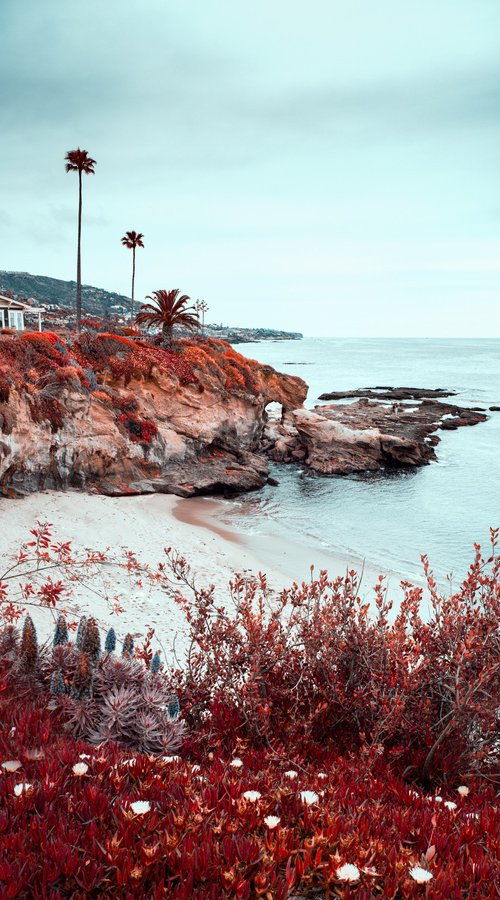 LAGUNA BEACH III by Harv Greenberg