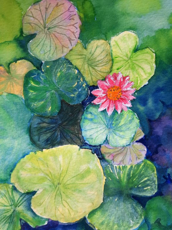 Lotus Pond with Water Lilies