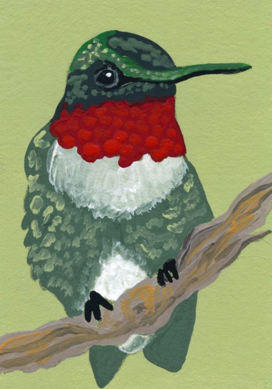 ACEO ATC Original Miniature Painting Ruby Throat Hummingbird Bird Art-Carla Smale