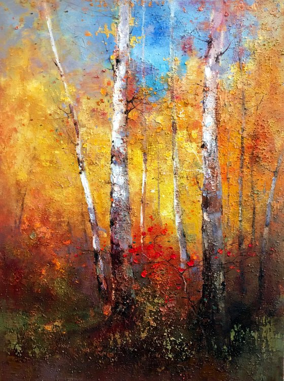 White birch forest