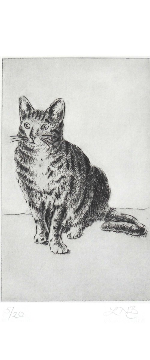 Tabby Cat by Louise Boulton