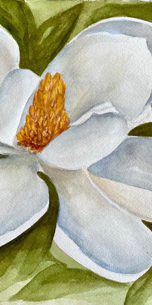 Magnolia Bloom by Rosie Brown