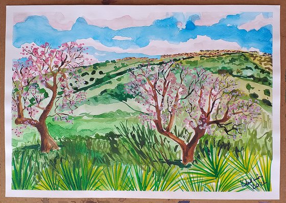 Almond blossom in Andalucia