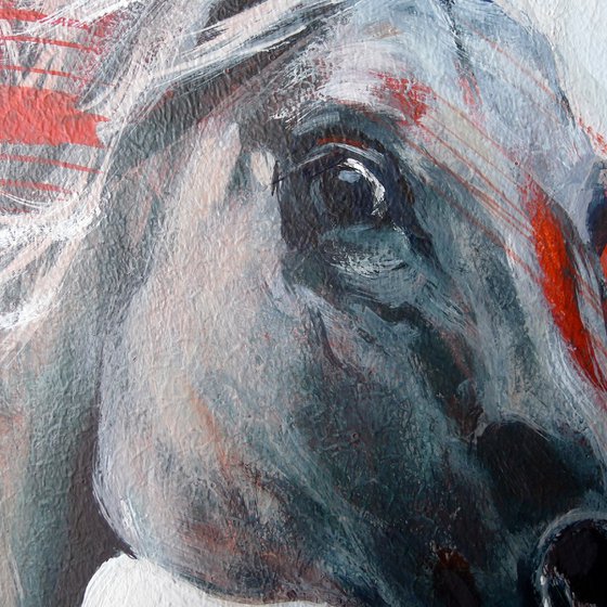 Red Horse