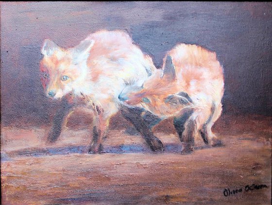 Fox cubs at Play