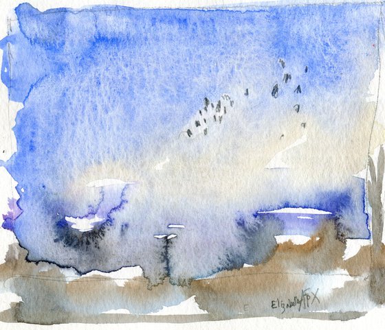 Dance of the Lapwings