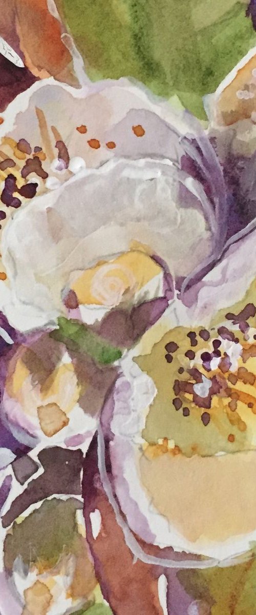 Spring Blossoms by Bronwen Jones