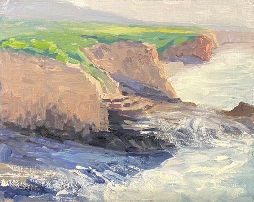 View From Davenport Cliffs Towards Panther Beach by Tatyana Fogarty