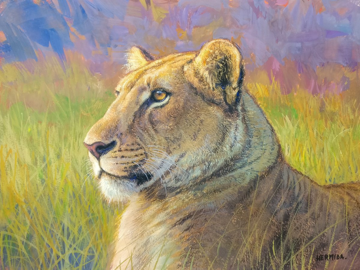 Lioness by Gabriel Hermida