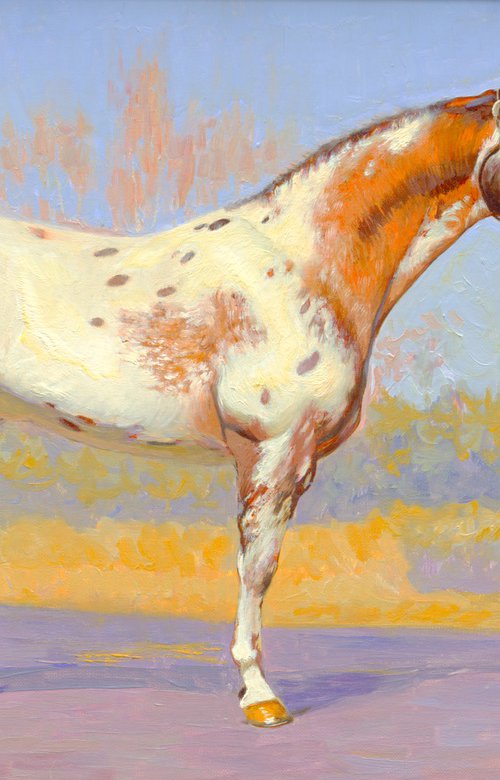 Appaloosa Horse by Simon Kozhin