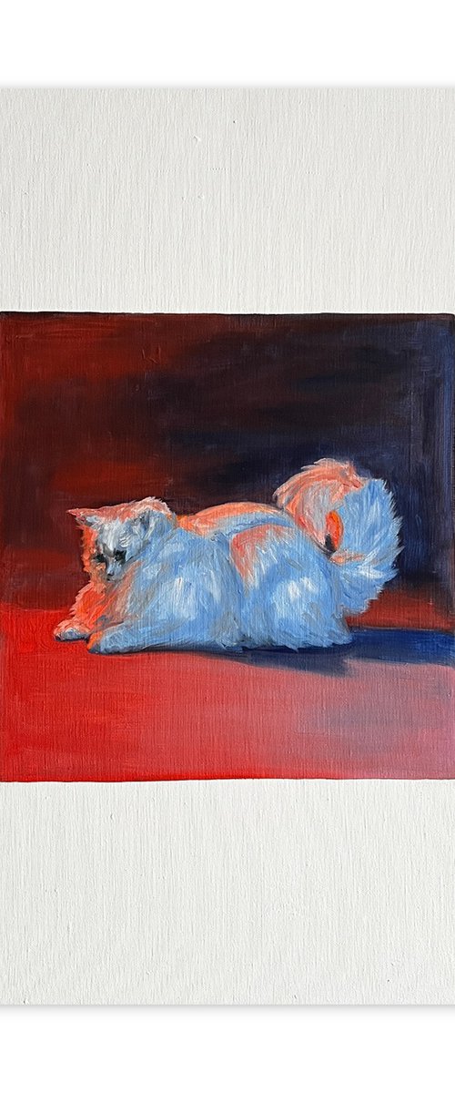 Cozy Cat Blue Red Minimalism by VICTO