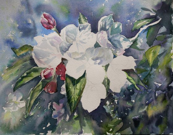 Original watercolor hand painting Apple blossom floral fine art, flowers wall art, wall decor, spring flowering branch, artwork